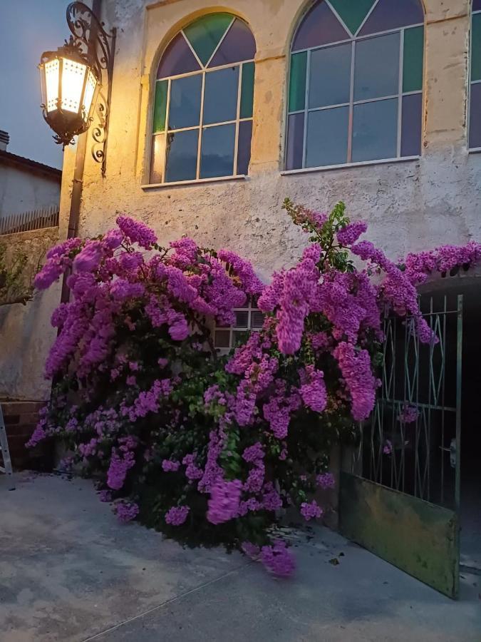Corte Averaldo San Felice del Benaco Zewnętrze zdjęcie